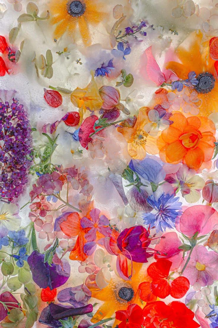 Stardust Sprinkle Vibrant Bouquet Delight